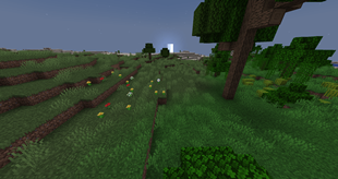 Grass with Alpha Grass