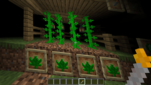 The Plants