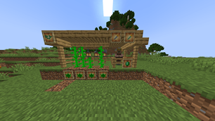 Weed