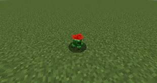 CreeperBlossom.png