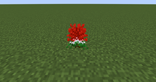 CreeperFlower.png