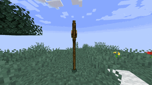 Personnal world stick