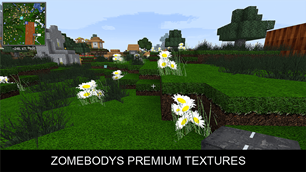 ZOMEBODYS PREMIUM TEXTURE PACK 5.png