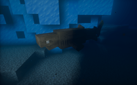 Greenland Shark.