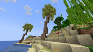 Updated Beach