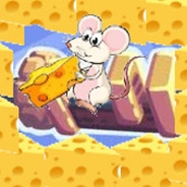 cheese