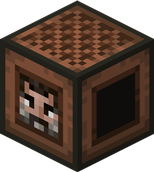 Steve Block