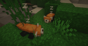 RedPandasSleepingShaders.png