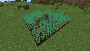 Weeds.png
