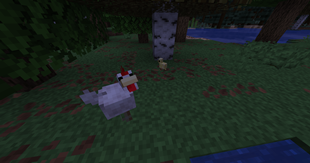 image (6).png