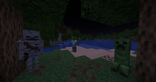 image (8).png