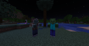 image (9).png