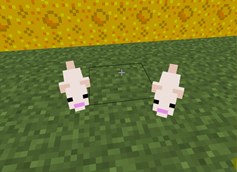 ScreenShot5.png