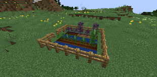 Simple farm of new crops