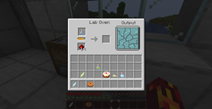 Lab oven interface