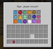 V1 Inside a gym badge pouch