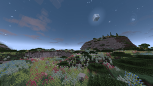The night sky