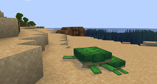 Shipwreck and Turtles.png