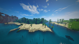 Dragon Fruit and Coconut Trees on the Beach
