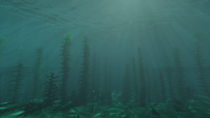 underwater.png
