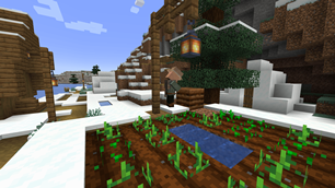Snowy Farmer