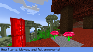 Flowers and Biomes