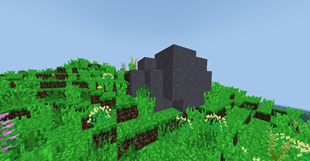 Stones and grass 2.png