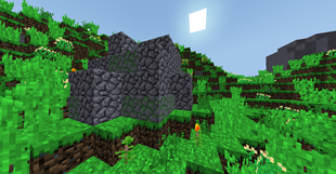 Stones and grass.png