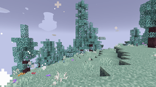 Magic forest?