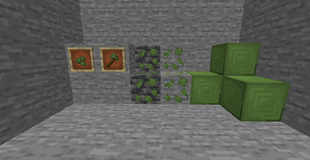 jade_picture.png