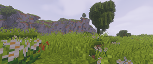 Fields with flowers.