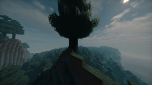 Tree in the high