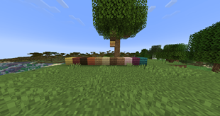 2025-06-09_08.01.37.png