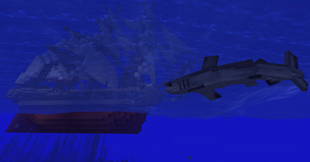 Sharks in the water!