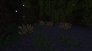 Firefly bushes in a mangrove swamp at night.