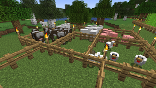 Farm