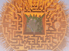 The Maze