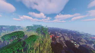 Aerial View Of A Forest