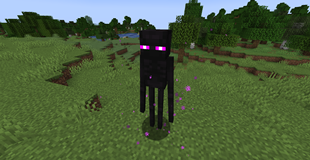 Normal Enderman