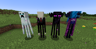 Nametag-only variants