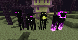 Enderlings