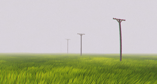 The Infinite Grass Field