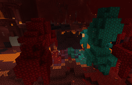 Nether House