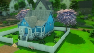 Screenshot 15