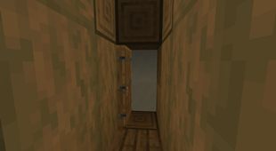 Trapped inside a house with Snowed In