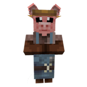 Animal Tamer Villager