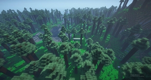 Screenshot 2025-06-07 203606.jpg