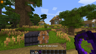 Fortified Barrel and Ring of the Enderchest