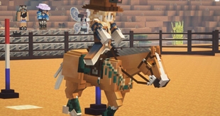 Capture.JPG