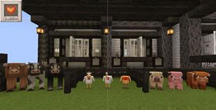 Animals Slider Comparison